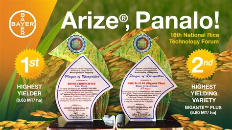 Bayer prevails as highest yielder in 16th NRTF hybrid rice seed .